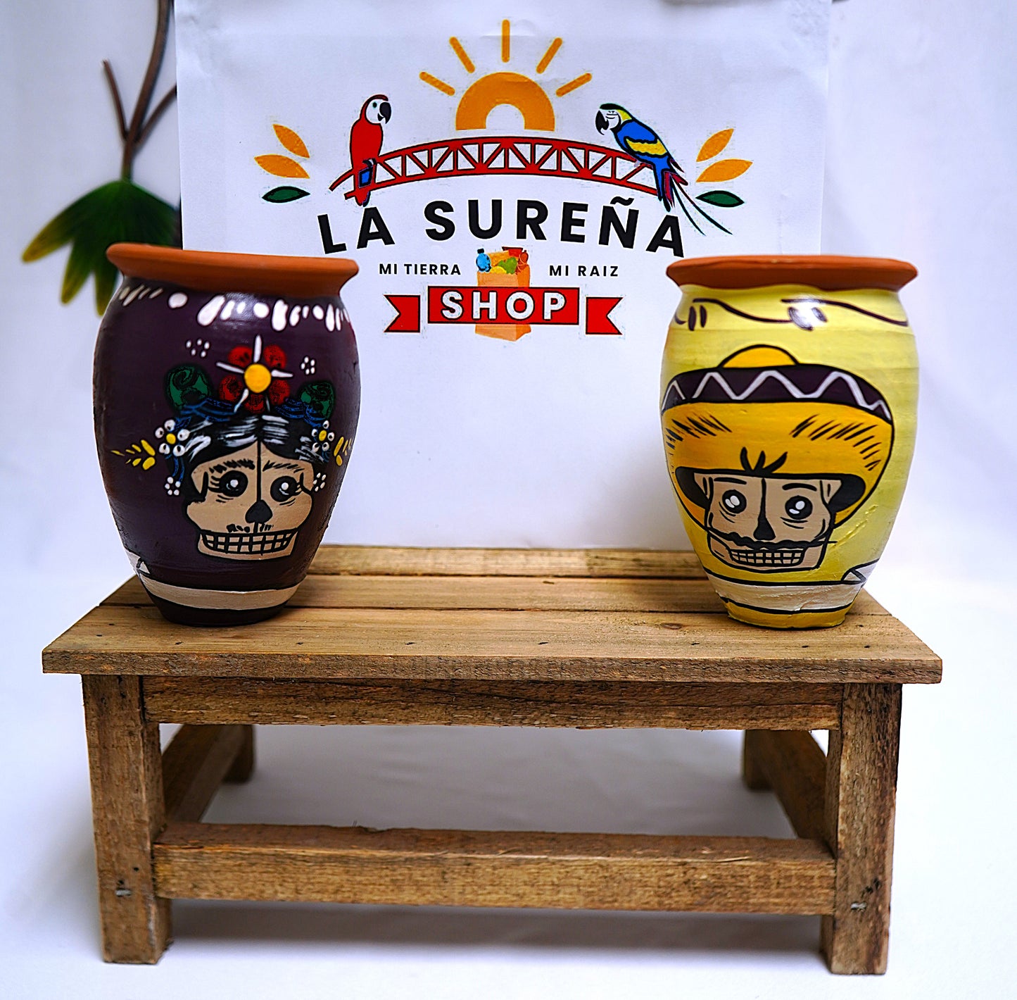 COMBO VASO LOS CATRINES